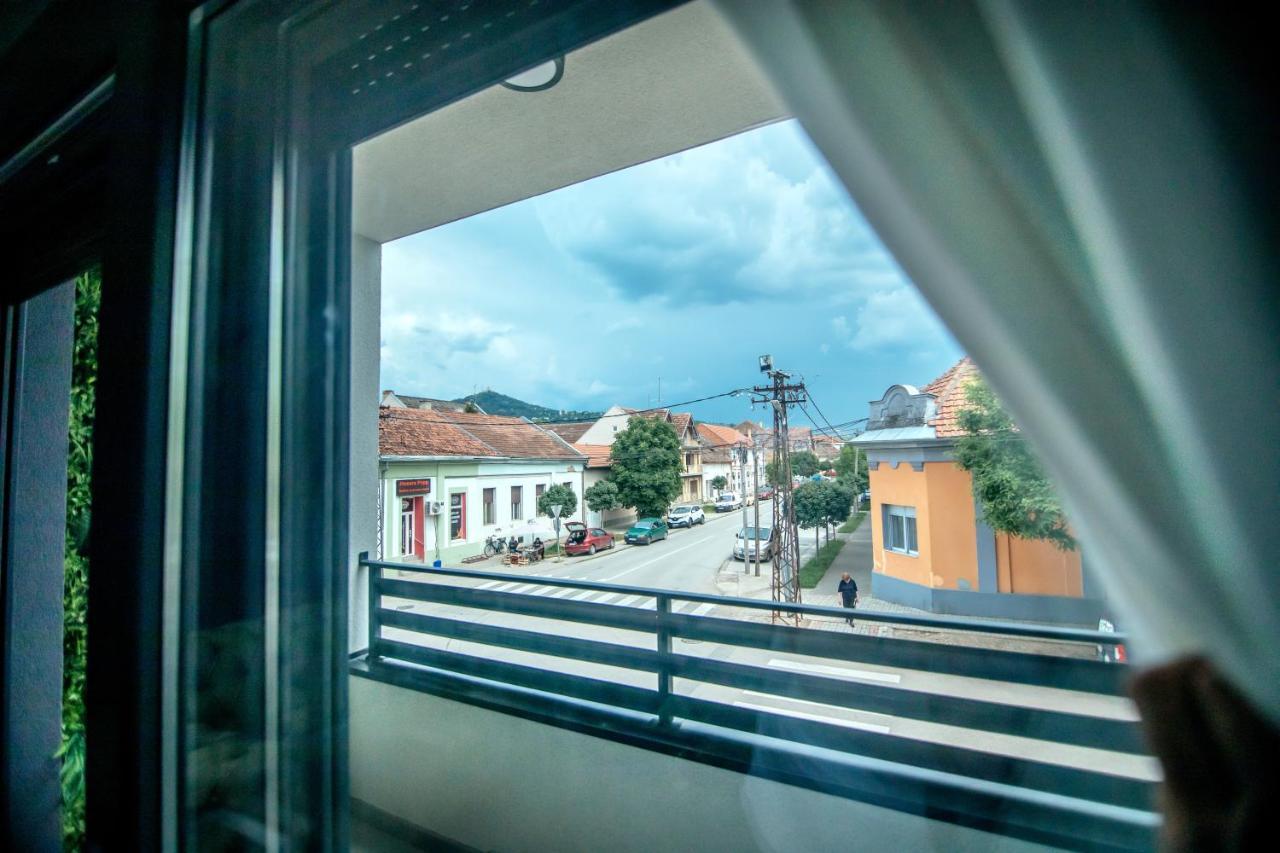 Royal Luxury Apartment Vrsac Zewnętrze zdjęcie